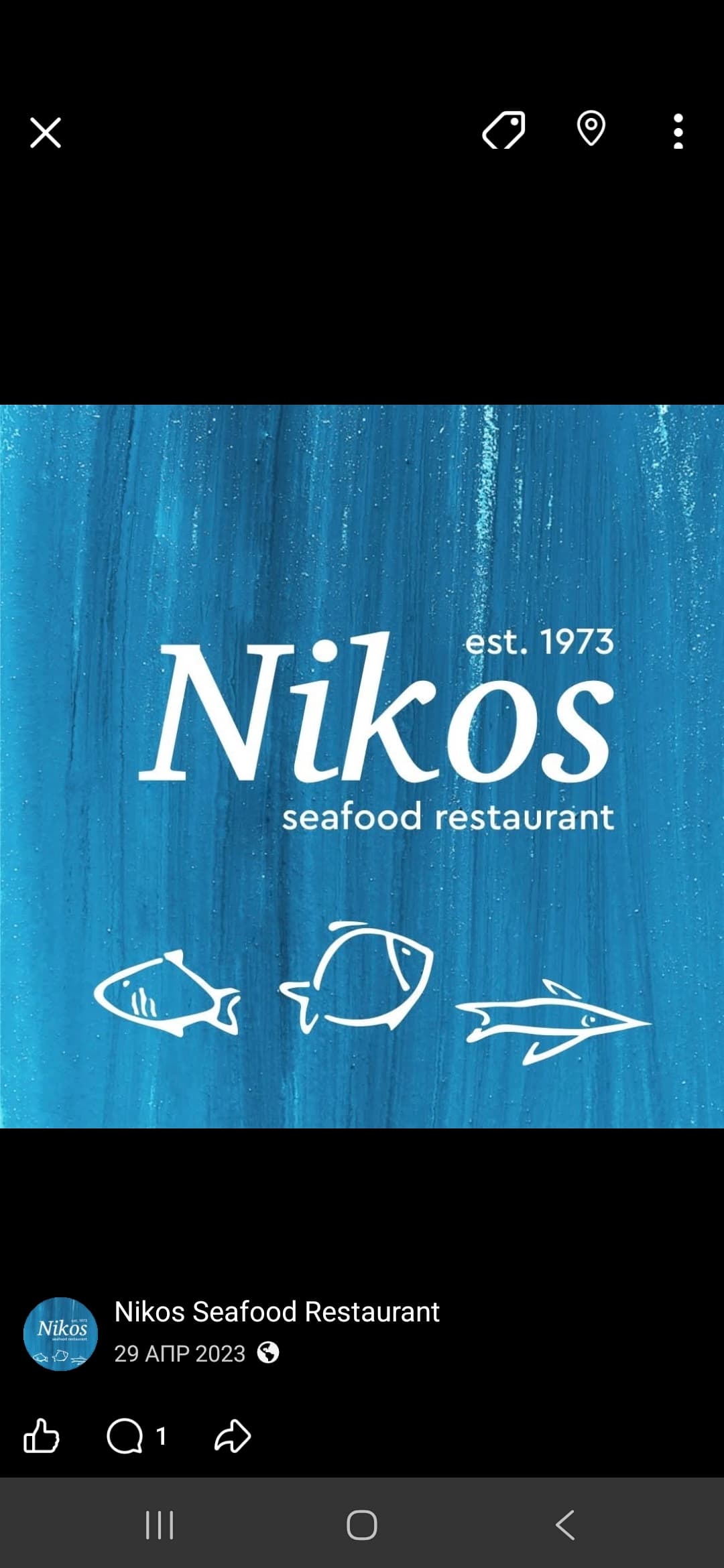 Nikos Seafood Restaurant - Ψαροταβέρνα Νίκος company avatar