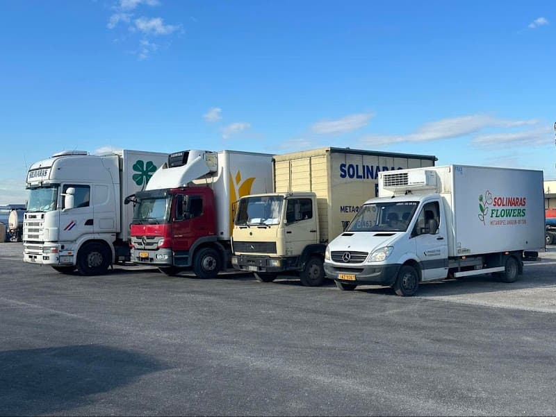 Solinaras Flowers Transport company avatar