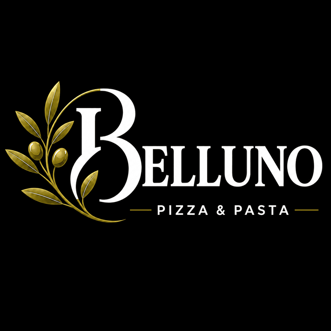 Pizza belluno company avatar